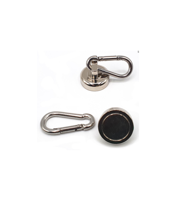 Aimant pour leash