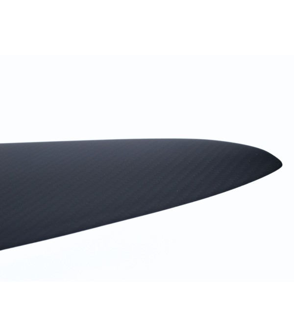 Aile FREE-RIDE 1 300cm²