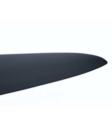 Aile FREE-RIDE 1 300cm²